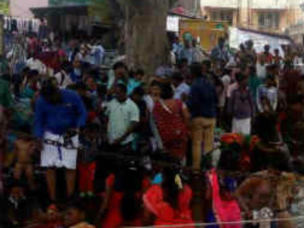 ஜாலியாக குளித்தனர்