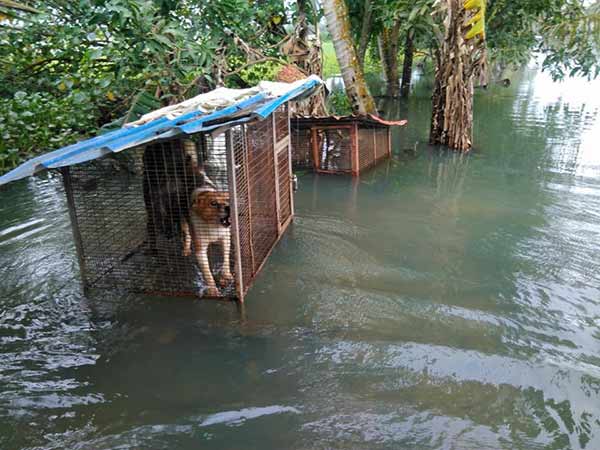கழுத்தளவு நீரில் உதவி