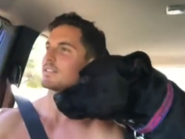 super excited dog ‘conveys’ message to its owner super excited dog ‘conveys’ message to its owner