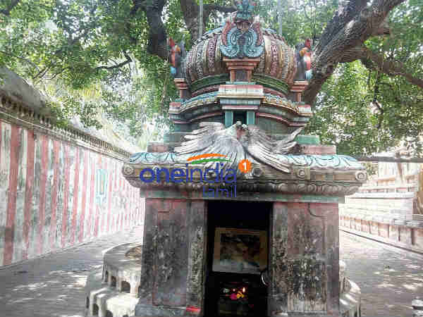கருட பஞ்சமியில் தரிசனம்