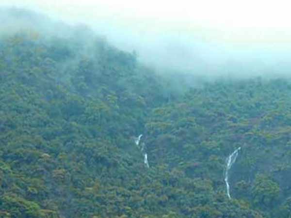 ஆய்வு