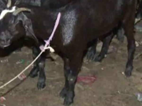 வீட்டுக்கு ரிட்டர்ன்