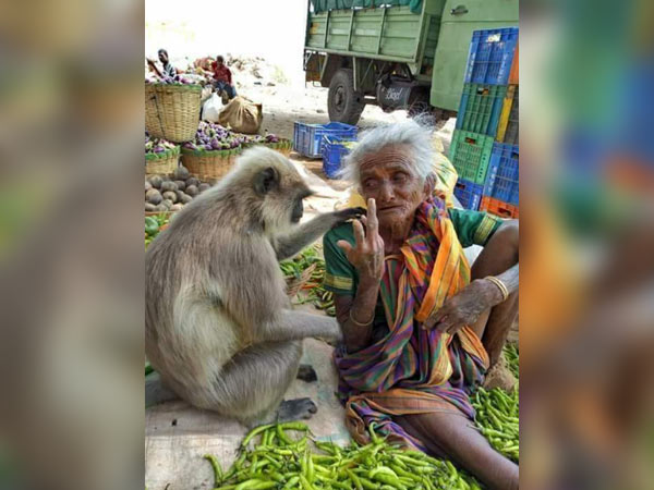 Granny with Monkey photo go viral Granny with Monkey photo go viral