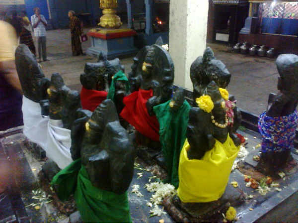 முயற்சிகள் வெற்றி