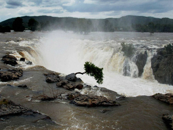 Karnataka releases 2,00000 causes water Karnataka releases 2,00000 causes water