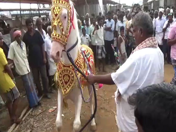 கால்நடைகளின் அணிகலன்கள்