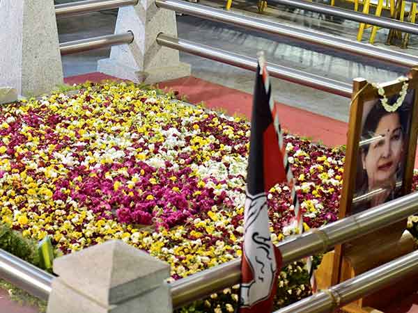 தமிழிலும், ஆங்கிலத்திலும்