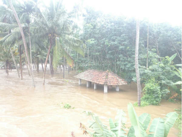 ஆயிரக்கணக்கானோர் மீட்பு