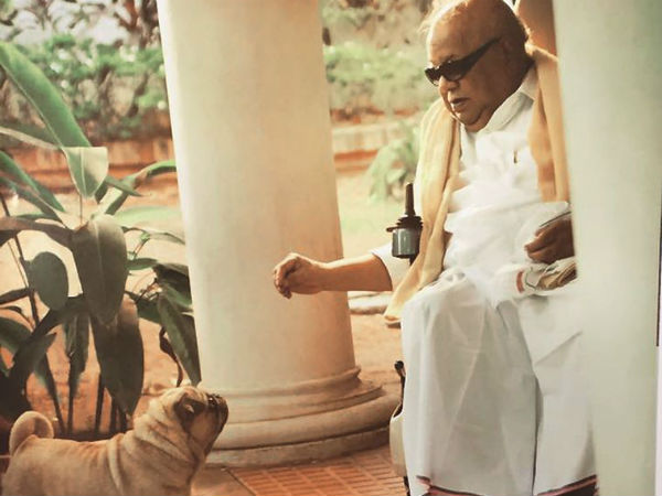 கருணாநிதியின் சிங்கம்