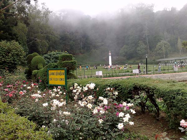 கணவர், 2 குழந்தைகள்