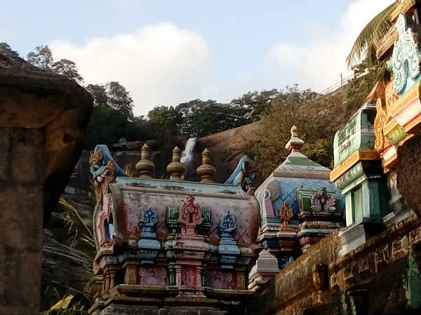 வாத நோய் தீர்க்கும் தைலம்