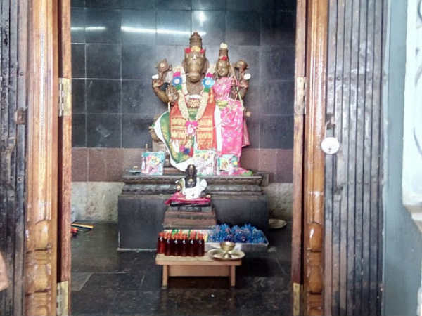 புத்திசாலித்தனம்