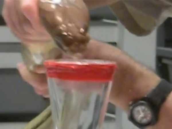 ஏன் பாம்பு விஷம்