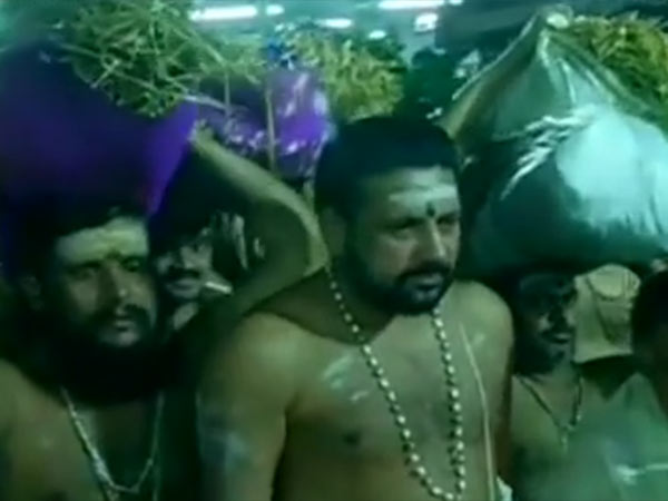 அறுவடை நெற்கதிர்கள்
