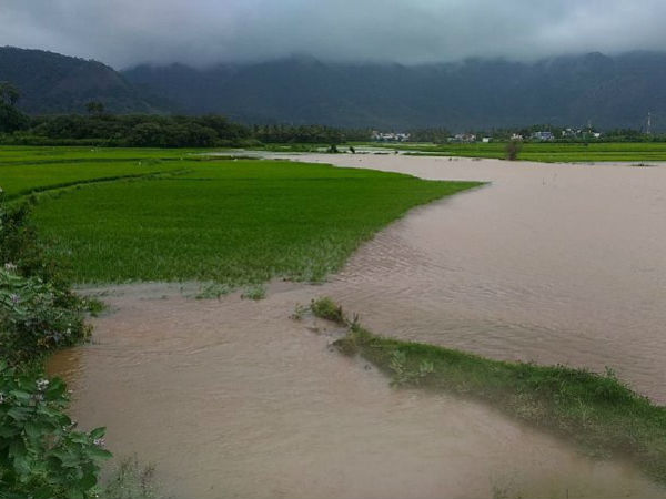 Heavy rain and flood: Leave announced for schools and colleges in Kumari and Nilgiris Heavy rain and flood: Leave announced for schools and colleges in Kumari and Nilgiris