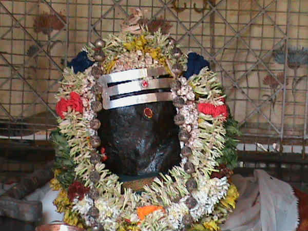 Sathuragiri Aadi Amavasai festival begins Sathuragiri Aadi Amavasai festival begins