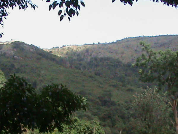 Sathuragiri Aadi Amavasai festival begins Sathuragiri Aadi Amavasai festival begins