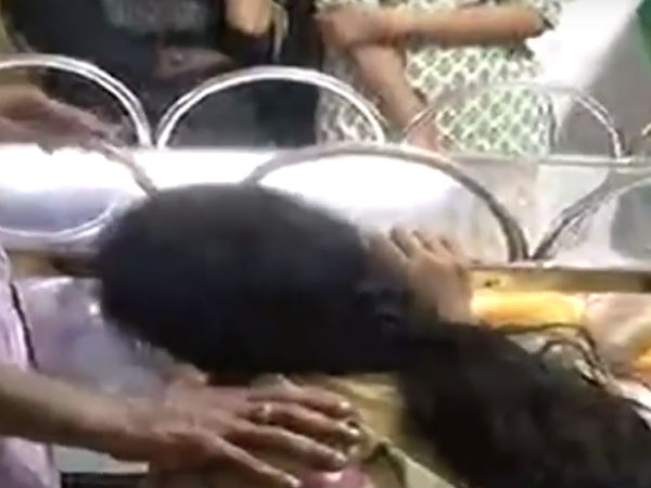 Karunanidhis relatives pay tribute to the late leader Karunanidhis relatives pay tribute to the late leader
