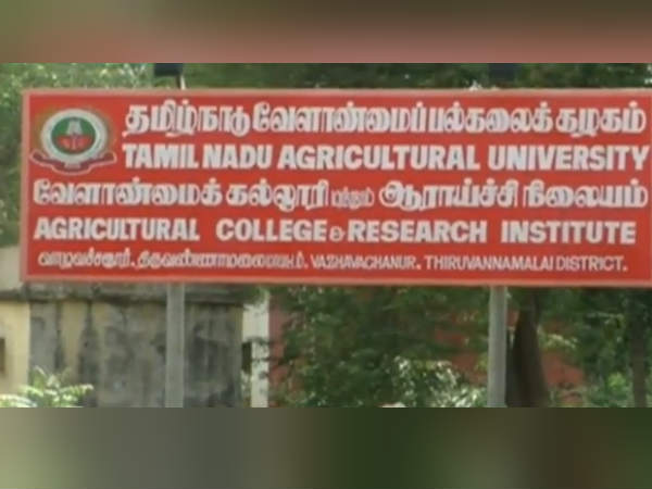 தாயாக இருக்க வேண்டியவர்கள்