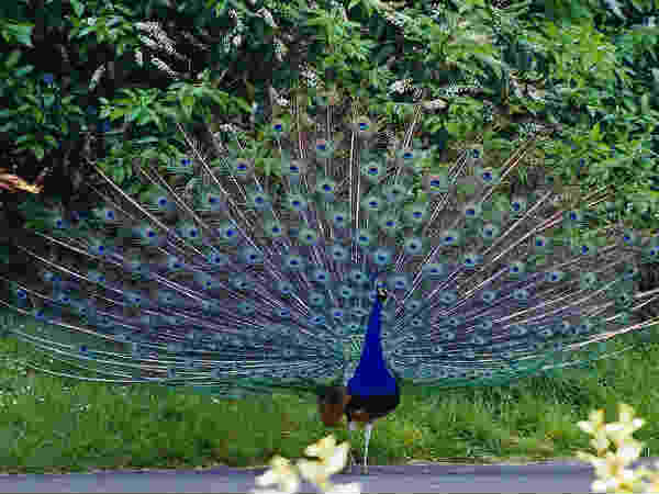 அதிகாரிகள் விசாரணை