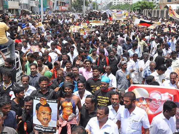 திரும்பி பார்க்க வைத்துள்ளது