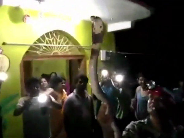 தாய்மையே ஜெயிக்கும்