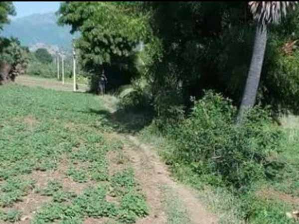 கொளுத்தும் வெயில்