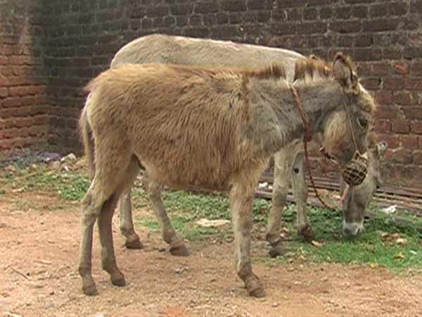 ஆச்சரியம்