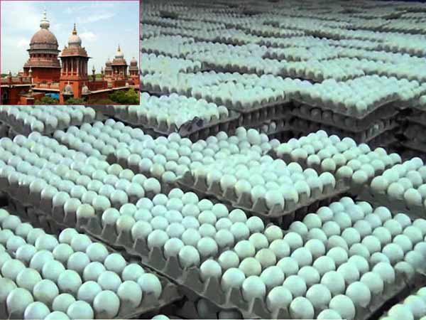 Rs. 220 crores worth nutritious egg tender banned by Chennai High Court Rs. 220 crores worth nutritious egg tender banned by Chennai High Court