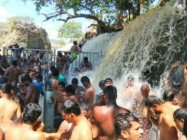 களை கட்டும் அருவி