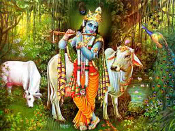 janmashtami the celebration of lord krishna birth janmashtami the celebration of lord krishna birth