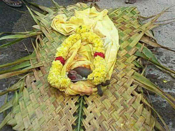 விவசாய நிலங்கள்