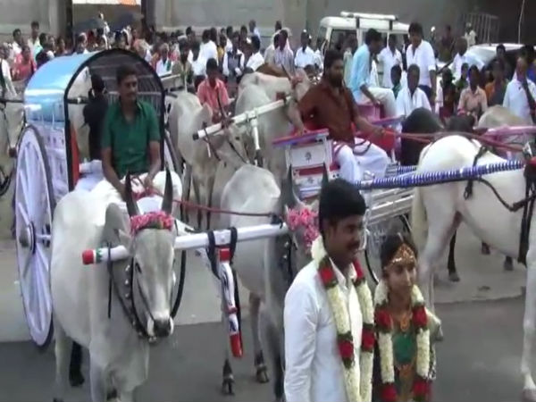 கவலையே படவில்லை