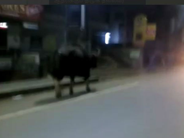 பரபரப்பான நேரம்
