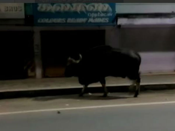 டாஸ்மாக் கடை
