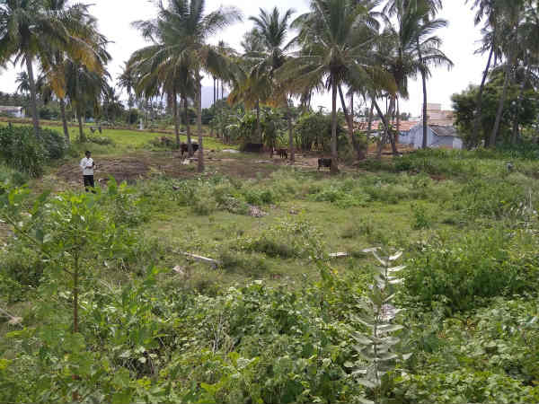 நிறுத்தம்