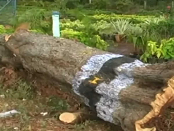 ஏன் பொய் சொன்னீர்கள்