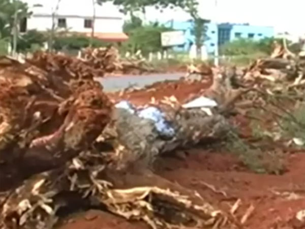 ஏன் உண்மையை கூறவில்லை