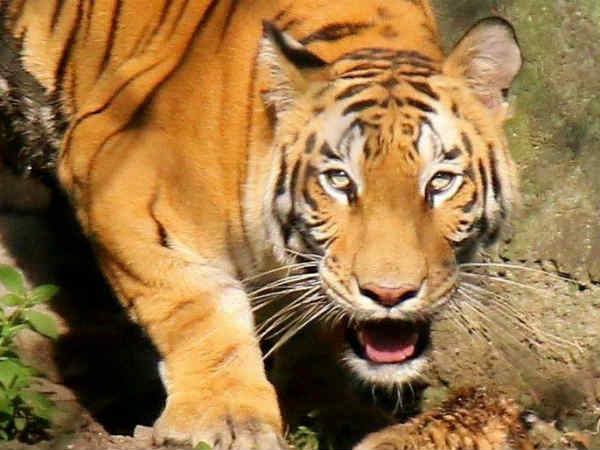 என்கவுண்டர் செய்ய உத்தரவு