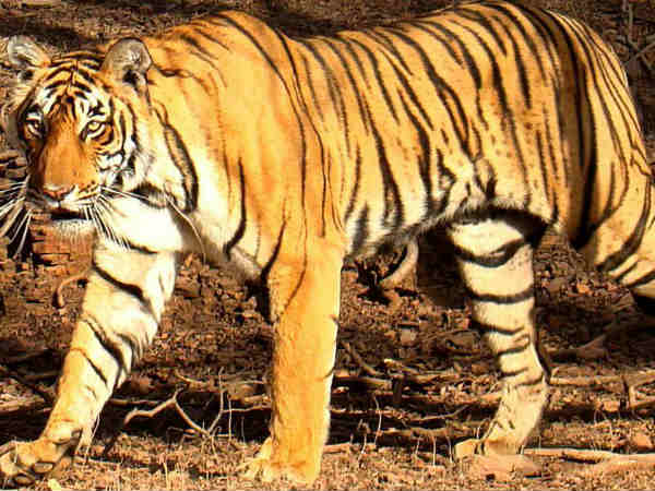 நீதிமன்ற என்ன சொன்னது