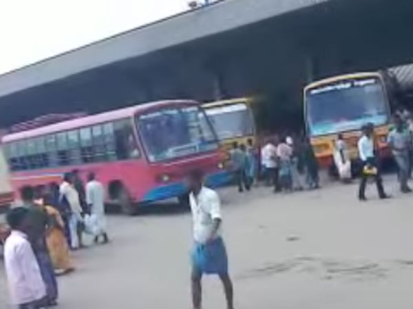 ஊர் திரும்பினார்கள்