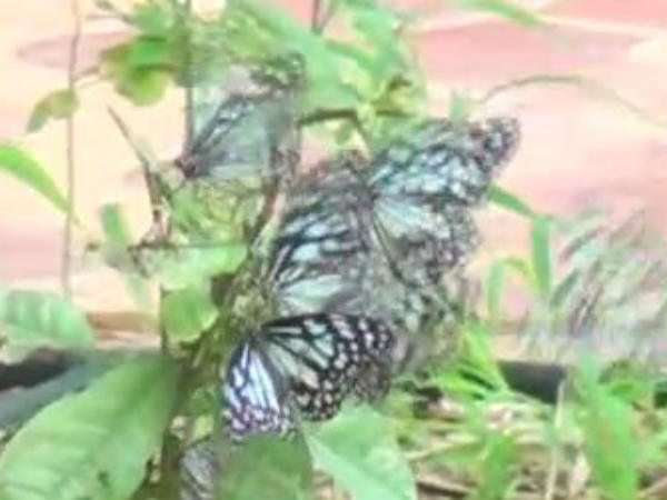 இன்று திறக்கப்பட்டது