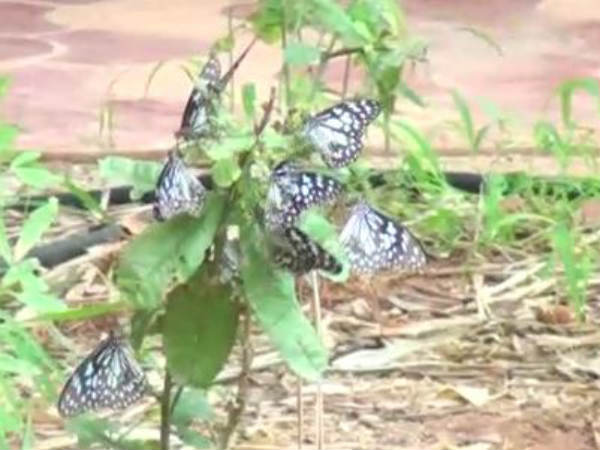 சீரமைப்பு பணிகள்