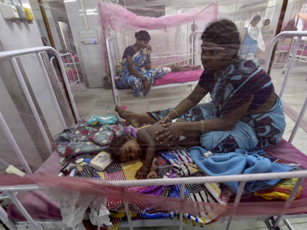 Dengue fever and swine flu in Tamilnadu: Officials appointed Dengue fever and swine flu in Tamilnadu: Officials appointed