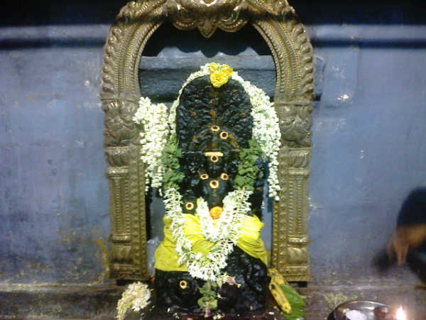 குருபகவான் நட்சத்திர சஞ்சாரம்: