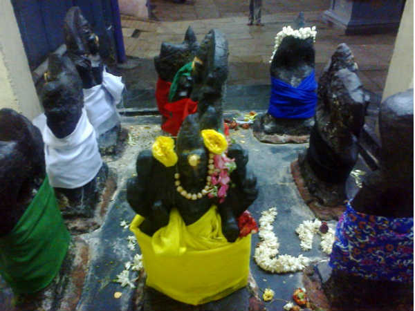 குருபகவான் நட்சத்திர சஞ்சாரம்:
