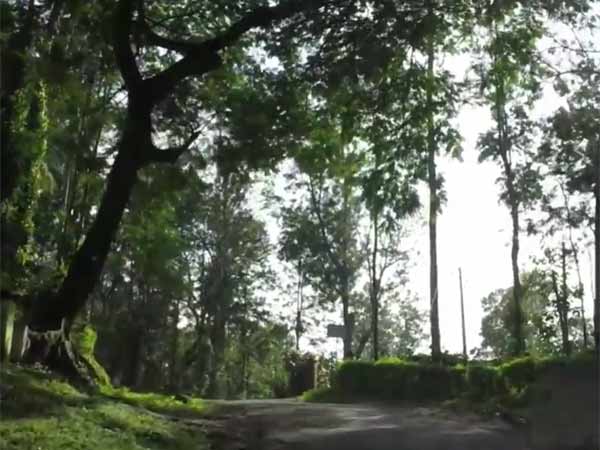 தடை இல்லை