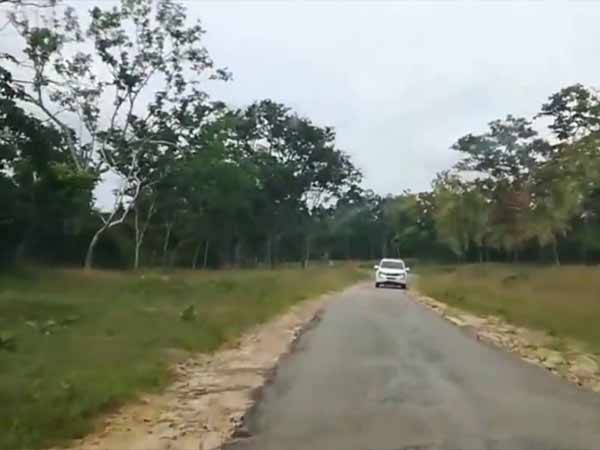 கேரளா சாலை