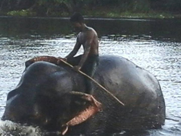 கில்லாடி சுமதி