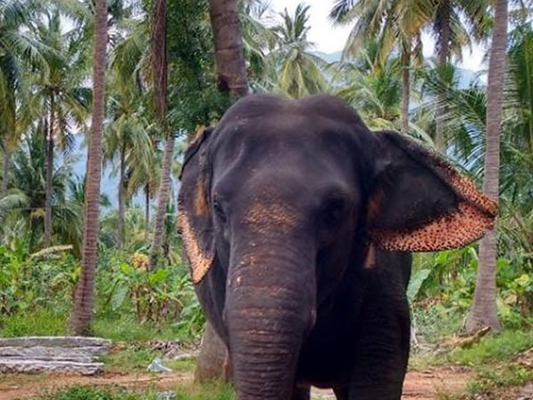செம ஷார்ப்